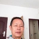 字泉的头像