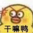 词不达意