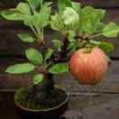 一路上有你14955