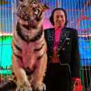 北京魔术师贾术