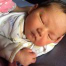 东方辰光云堡主