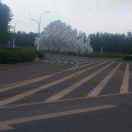 qq5748758