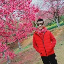 铁线艺样板  雄