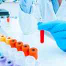 香港DNA鉴定18824689546