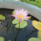 快乐工作快乐生活