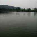 邓积雄-志成水产合作社