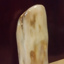 赤子