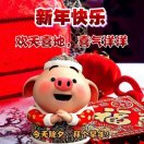 老牛16641