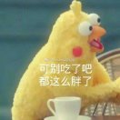 如此、的头像