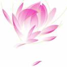 鄧發(fā)丹
