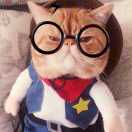 eric_wen's Avatar