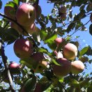 向快乐出发53836