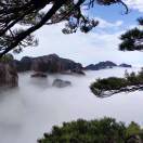 赵杰