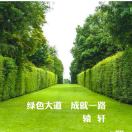 辕轩