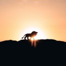 plmokn的头像-951博客