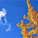 走进森林，净化心灵。