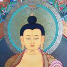 🐲🐲🐲龙🐲🐲🐲