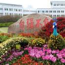 xiao田