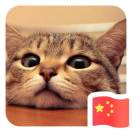 小五
