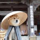 加城