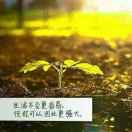 命中注定就是你