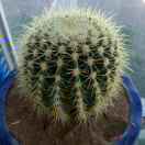 人生苦短开心过好每一天