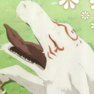 null转租&房东直租