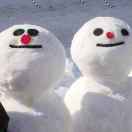 高霖通訊 楊栢林 Ber-lin