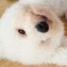 聆聽