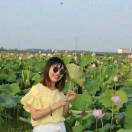 showly
