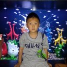 孟庭宇
