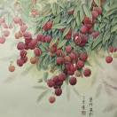 黄嘉云