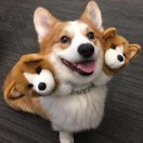 头像