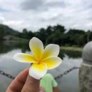李冬志