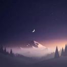 文