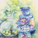 🌸 春莲