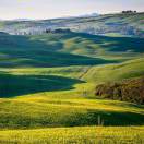 EdrawMax user profile image