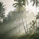 易百纳技术社区