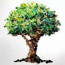 易百纳技术社区