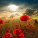 今天🤗明天🤗