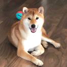 谭