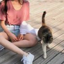 南故