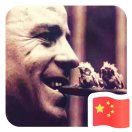 王晨超头像