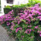 易百纳技术社区