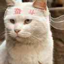 张明阳