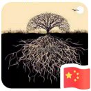 抓板游击队·飘摇