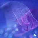 河南焦作～祁海强