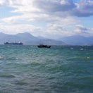 钟浩