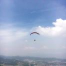 EdrawMax user profile image