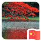 原筑